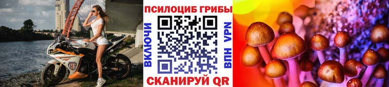 ссылка на мегу рабочий сайт Южа Псилоцибиновые грибы Magic Shrooms хочу